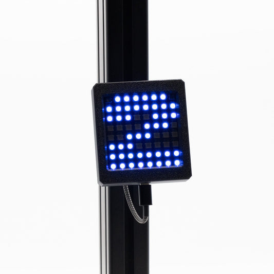 SSG Flag Box Display DF-8